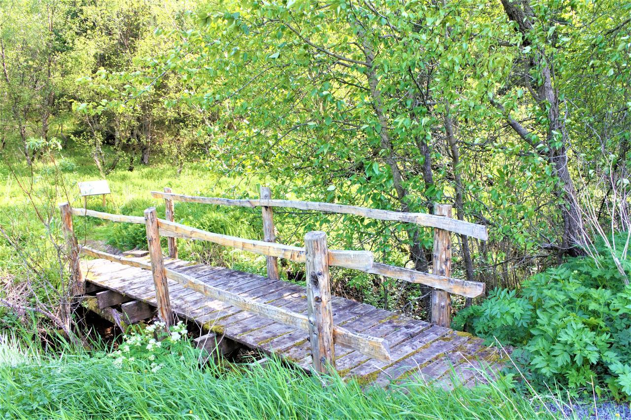 Solheimar Eco-Village Guesthouse Zewnętrze zdjęcie