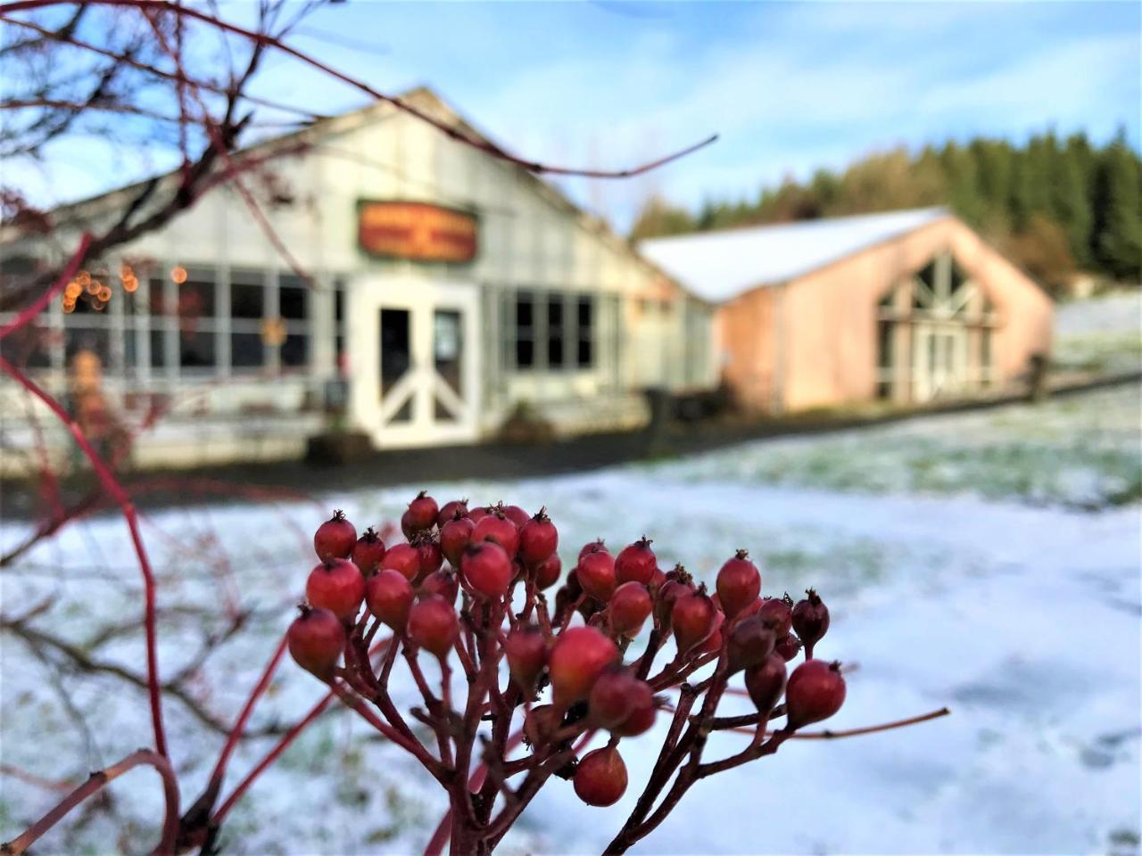 Solheimar Eco-Village Guesthouse Zewnętrze zdjęcie